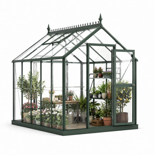 Serra da giardino in alluminio verde scuro con vetro temperato trasparente 250 x 190 x 250 cm